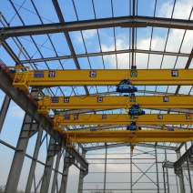 5TON SINGLE CRANE